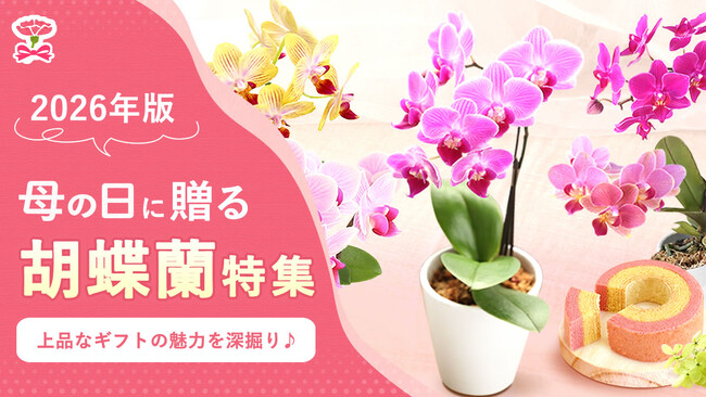 「母の日ギフトに胡蝶蘭」が選ばれるのはなぜ？喜ばれる理由と失敗しない選び方