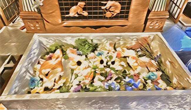 【心に寄り添ったお別れを、今知っておきたい最新のペット終活】