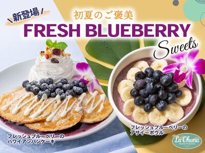 【La・Ohana(ラ・オハナ)】ハワイの風を感じる初夏の贈り物♪大粒でジューシーな“フレッシュブルーベリー”のハワイアンパンケーキ＆アサイーボウルが期間限定にて新登場！