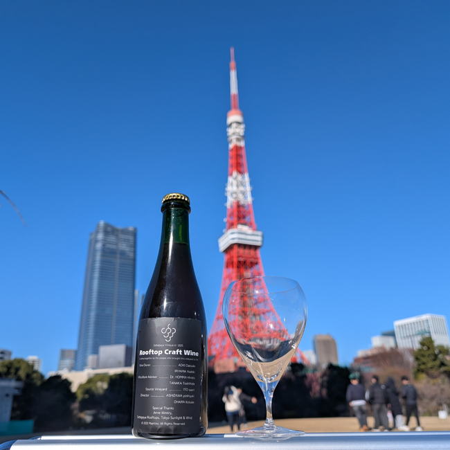 都市の屋上でワインを育てる。世田谷・川崎で2026年度屋上クラフトワインプロジェクト始動