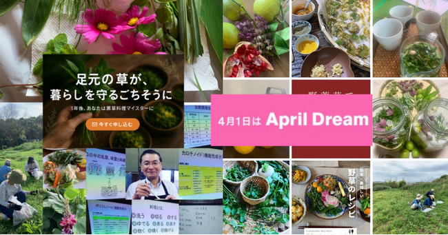 「都市部と農村地域を結び、暮らしの知恵を育む“薬草てらこや”を全国へ。」