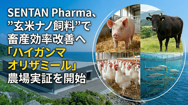 SENTAN Pharma、”玄米ナノ飼料”で畜産効率改善へ「ハイガンマオリザミール」農場実証を開始。