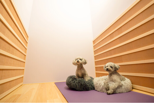 【 東京 目黒/恵比寿 】カラダの内側から健康的にリフレッシュ。三朝温泉で有名なラジウム効果を、服を着たまま体感できるラドンルーム「kuku-lu（括る）」1/19（月）オープン！ペットも同伴可。