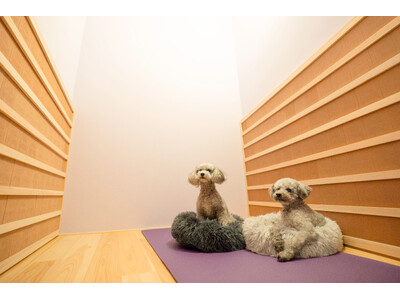 【 東京 目黒/恵比寿 】カラダの内側から健康的にリフレッシュ。三朝温泉で有名なラジウム効果を、服を着たまま体感できるラドンルーム「kuku-lu（括る）」1/19（月）オープン！ペットも同伴可。