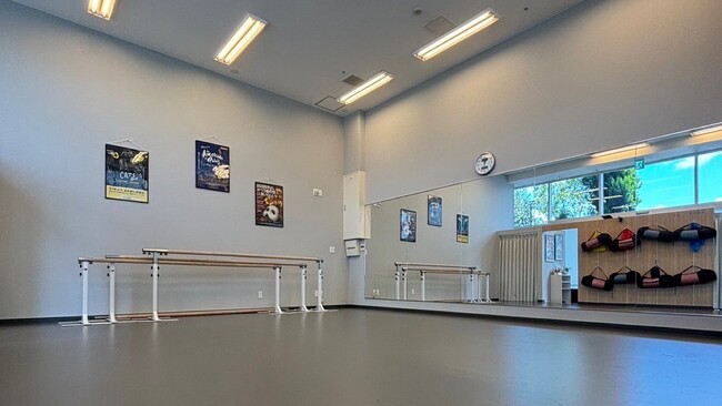 【オープン1周年】東京バレエ団・劇団四季を経験したダンサーが直接指導。3月22日(日)、姫路にオープンしたバレエスタジオ1周年を記念し、期間限定で無料体験キャンペーンを実施。