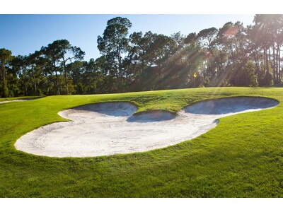 「ゴルフの女王」アニカ・ソレンスタムと夢のラウンドツアー