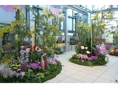 野沢園が、ファンケル銀座スクエア「春のフラワーガーデン2026」で植物装飾を担当