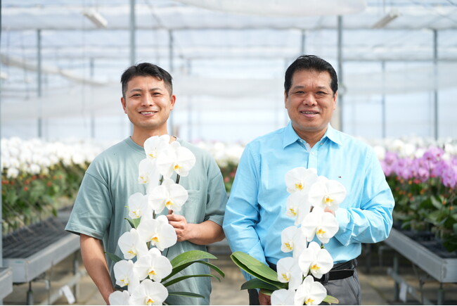 大量の祝い花対応を一本化 胡蝶蘭専門店「らんや」、法人向け「胡蝶蘭おまとめサービス」をスタート