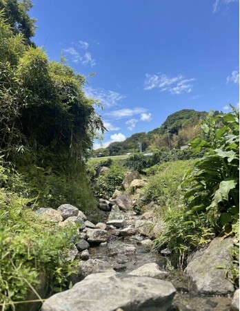 大阪から30分で、こんな小川があるなんて。