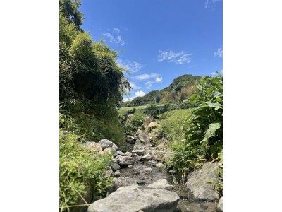 大阪から30分で、こんな小川があるなんて。