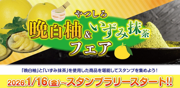 【第2回抽選受付開始】八代の味覚がギュッと詰まった。やつしろ「晩白柚・いずみ抹茶」フェア大好評開催中！八代市内の参加店舗27事業者・物産館で対象商品 提供中（1/16～2/28）