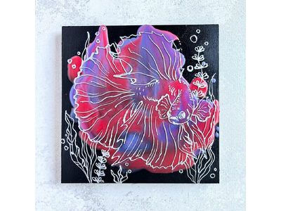 �yFROM ARTIST�z�V����i5�I�����J�b���T�̒��ڍ�i�ƁA�V���ǉ������A�[�e�B�X�g�ꗗ�i2026�N3��21���j