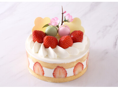 ベルギー王室御用達チョコレートブランド「ヴィタメール」3月1日(日)よりひなまつり期間限定ケーキを販売いたします