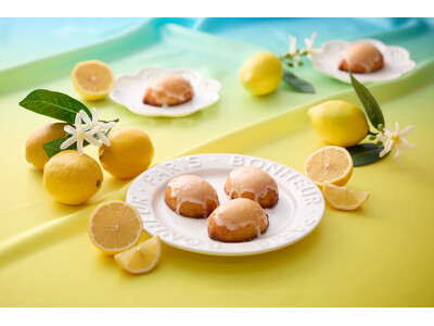 〈エーデルワイス沖縄〉【新商品】『きゅんとさわやか生レモンケーキ』