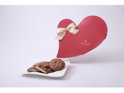 パティスリー「アンテノール」から本格ショコラクッキーをバレンタイン限定販売。贈る相手に合わせて選べるパッケージも必見。
