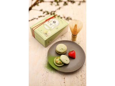 ご好評につきアンテノール オンラインショップでの販売決定！京都から、新しい宇治抹茶のお菓子を発信　新・京土産『京のお濃い茶さん』