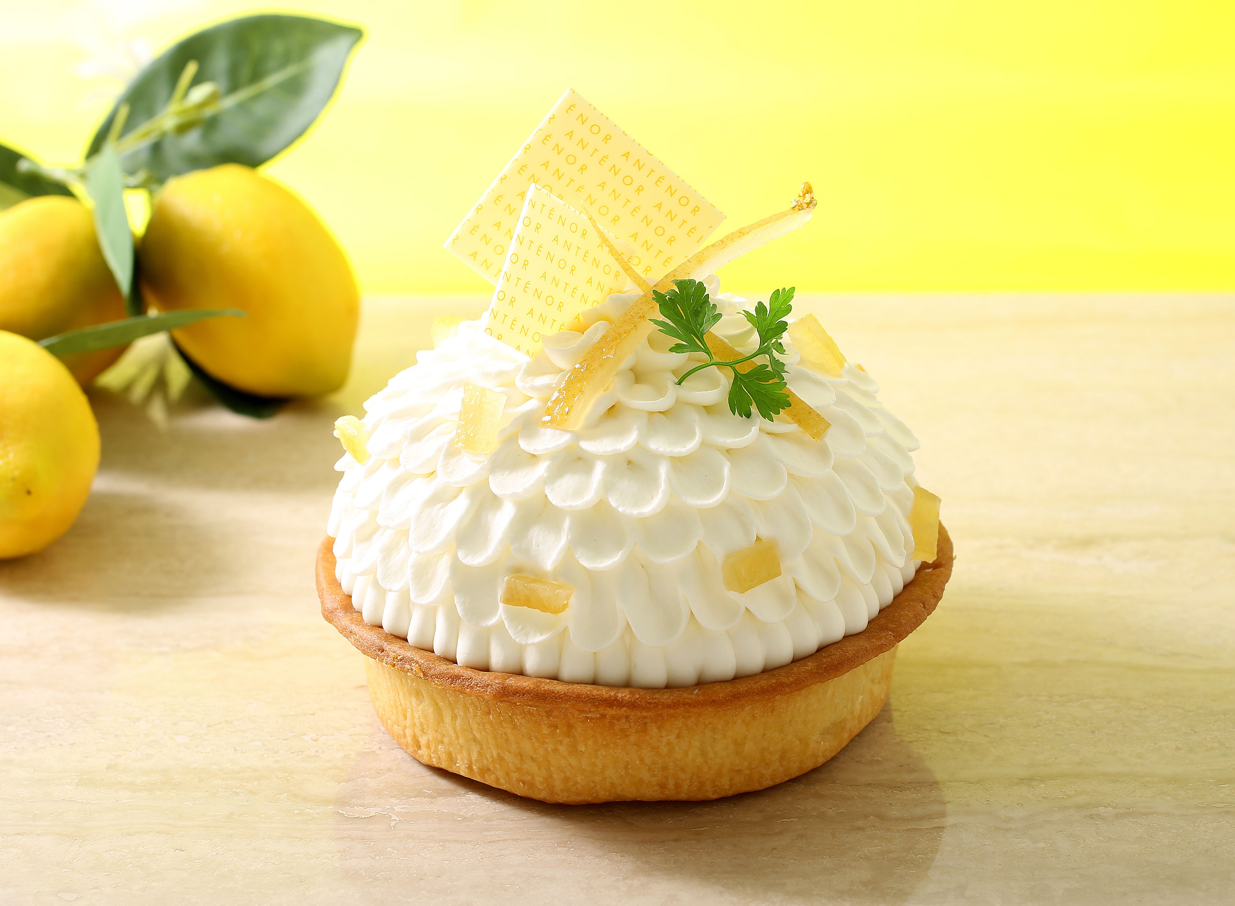 ときめく夏のレモンスイーツ！限定ケーキも焼き菓子も勢揃い「レモンフェスタ」をアンテノールで開催します。