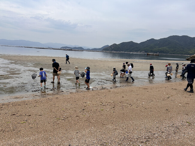 未来へつなぐ江田島の里海。“海のゆりかご”アマモ場を親子37名が観察、生物多様性の豊かさを体感