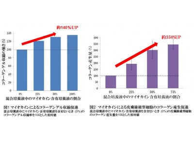 「マイオカイン」が精油の機能成分で分泌促進されることを発見  肌の弾力維持やコラーゲン産生促進に関わることも確認