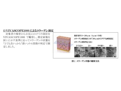 洗顔後の肌実感と肌内部のコラーゲン状態との関係性を確認