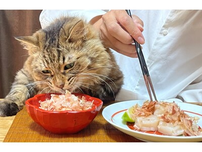 “一緒に食べる幸せ” 人と猫がシェアできる老舗メーカーの本枯節　　『猫節』がペテモ幕張新都心に初上陸！