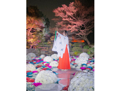 『浮花』-Fuka- 2026.4.1 START