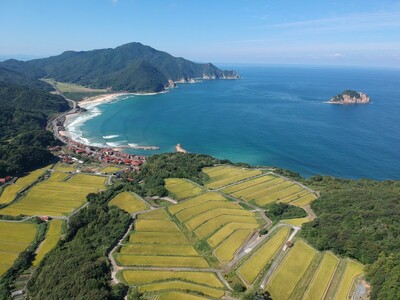 〈森里海と生きるまち　山口県「阿武町」〉新たな観光振興に携わる仲間＆フラッグシップ飲食店シェフ　2種の地...