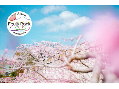 【春の山梨県笛吹川フルーツ公園】富士山と桃源郷が一緒に観られる鑑賞スポットへ。お花見イベントも開催