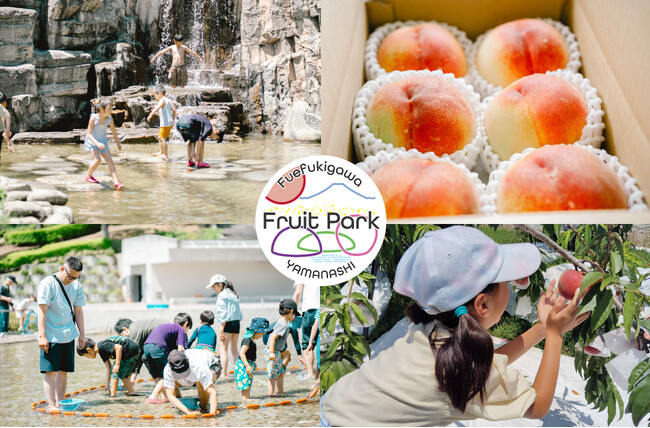 【ももフェス開催】山梨県笛吹川フルーツ公園では水遊びや魚のつかみ取り、くだもの収穫体験などアクティビティが充実。旬の桃を堪能できるイベントも開催。