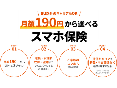 au���z�Z���ی��A���z190�~����I�ׂ�u�X�}�z�ی��v�A�{�����̔��J�n