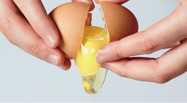 【平飼い・有精卵】産みたてたまごの特別販売を開始！