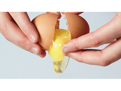 【平飼い・有精卵】産みたてたまごの特別販売を開始！