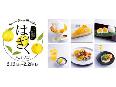 食べ頃を迎えた「はっさく」を13店舗のシェフが特別アレンジ「フルーツ王国紀の川市のはっさくメニューフェア」開催