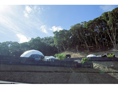 【東京から約90分】“森の静寂”を独占する1日3組限定グランピング「SHINON～森音～」が開業。