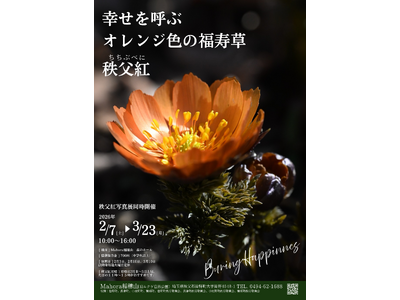 [�C�x���g�J��]�����g�ʐ^�W2026�`�t�̊�Ղ��ʂ��`