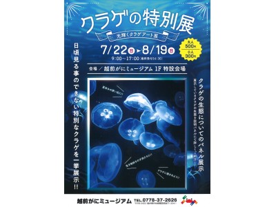 【福井県越前町】～幻想的な光り輝くクラゲのアート～　越前がにミュージアムで「クラゲの特別展」開催！