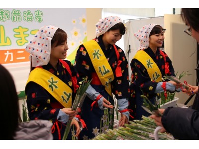 【福井県越前町】第44回越前海岸水仙まつり「水仙・カニフェア」が越前町の道の駅越前で開催されます！