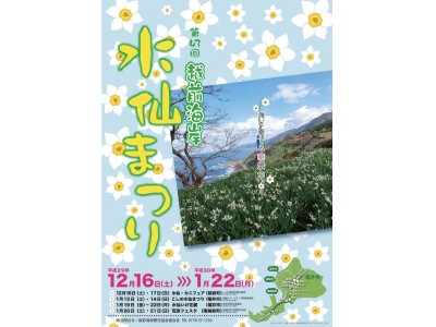 【福井県・越前海岸】日本水仙三大群生地のひとつである越前海岸で「第43回水仙まつり」が開催されます！