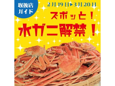 【福井県越前町】2月19日解禁！水ガニの提供店について