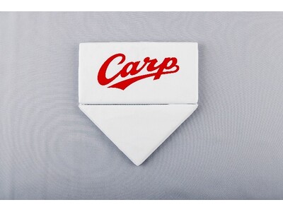 1880�N�ɑn�Ƃ̘V�ܑ@�ۊ�Ƃ������}�b�g���X�[�ނ���g�z�[���x�[�X�^�A�b�v�T�C�N���N�b�V�����h���J���A�v���싅�ŏ��̗̍p