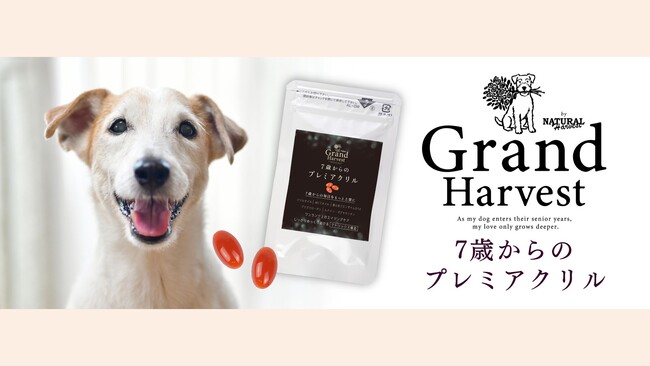 シニア犬の“これから”に、新しい選択肢。ナチュラルハーベストより、シニア犬のための新ブランド「Grand Harvest（グランハーベスト）」が誕生。
