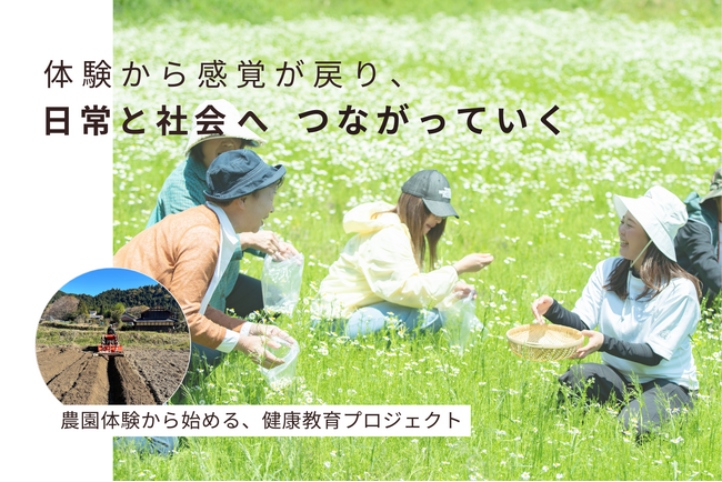 【5月】カモミール収穫体験を開催決定！【7.6兆円の損失】整える力を育てる、農園発のクラウドファンディング実施中