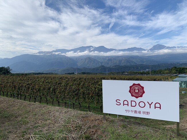 サドヤ、フェミナリーズ世界ワインコンクール2026で3銘柄が金賞受賞