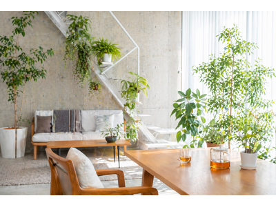 【本日オープン】港区・南青山で、“自分に還る” 一番近い場所「HNM 南青山」── 鎌倉山の聖地「House of Natural Medicine」が提案する、ウェルネス拠点。