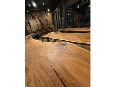 「この木は、どこから来たのか」創業193年の家具店が挑む、半径50km圏内の森の命を救い、使う。“家具のトレーサビリティ”。長野市・松葉屋家具店「日本の山で育った広葉樹一枚板展」2月20日より開催