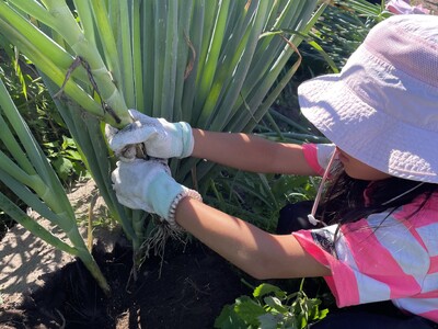 海と大地が育む「豊かな暮らし」。八雲町で行う親子留学プログラムが新たな感動を提供いたします。