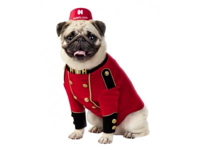 Hotels.com、DDBグループ香港と共同で新CM「旅にもっとご褒美を」を公開 ～日本で生まれたブランドキャラクター犬を刷新 新ブランドキャラクター犬「ベルパグ」がデビュー～