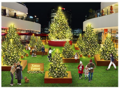 高さ8ｍのモミの木を中心に複数のツリーが登場「横浜ベイクォーター クリスマスイルミネーション」11月1日...