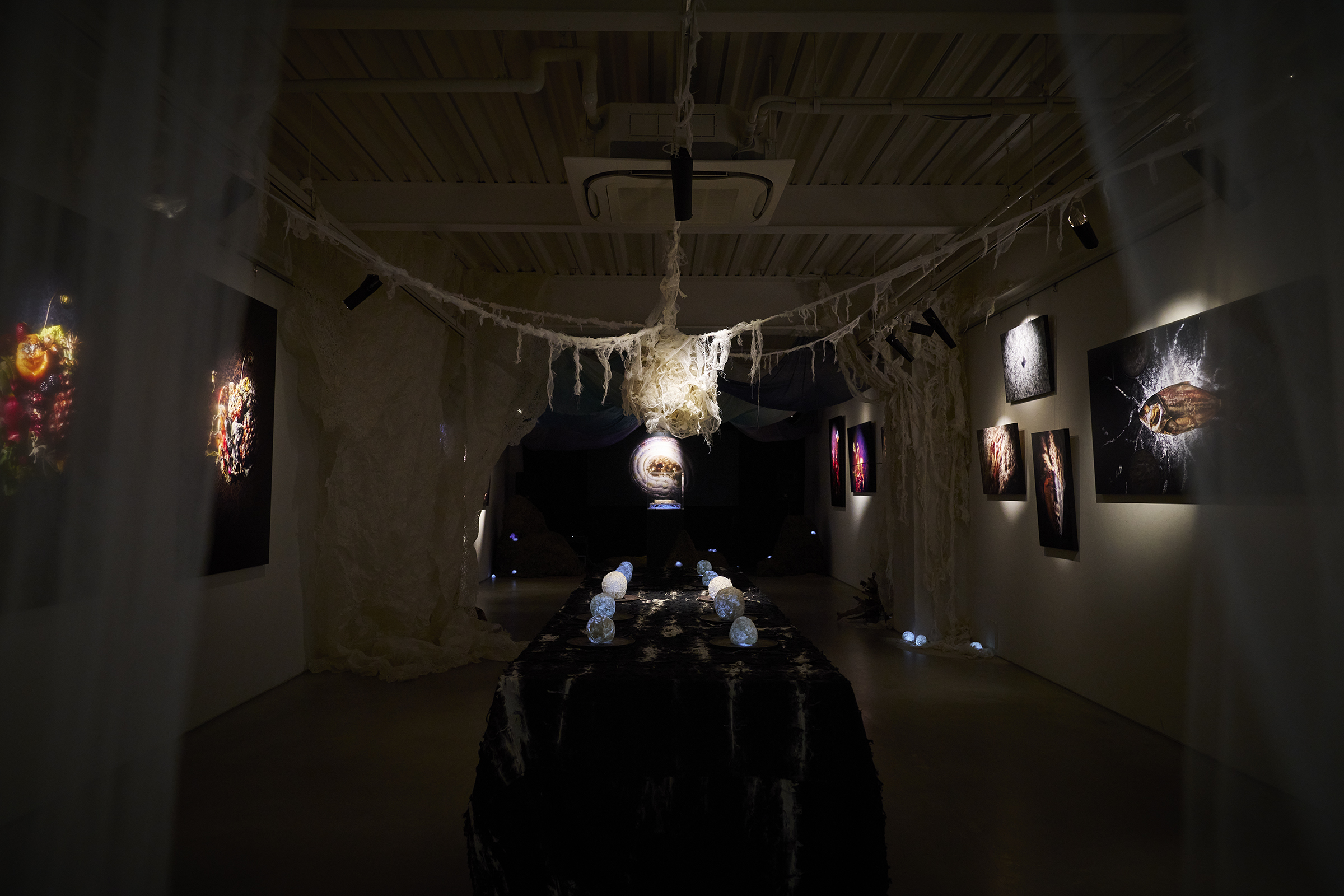 【国内初個展／6月29日(月)まで】Artist Rinaによるインスタレーシ…