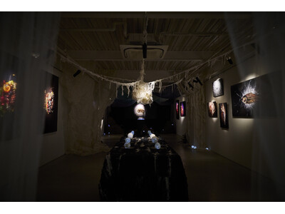 【国内初個展／6月29日(月)まで】Artist Rinaによるインスタレーション『食の鼓動 - The Pulse of Food -』を大阪・心斎橋で開催中